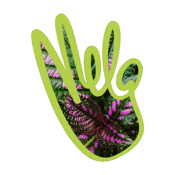 MELA Logo Animation