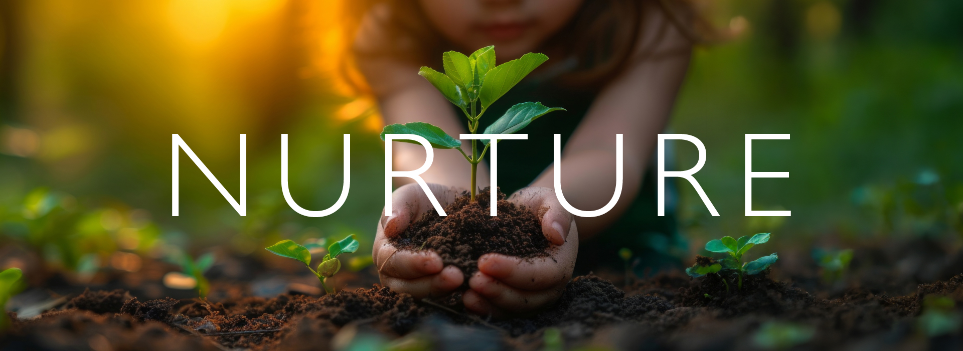 Nurture — Brand Visual